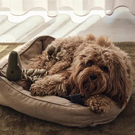 Apartment C13 Mit Balkon&nutzung Der Wellness-&aktivbereiche Im Pine Hill Zirchow