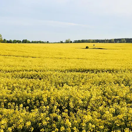 Apartment C13 Mit Balkon&nutzung Der Wellness-&aktivbereiche Im Pine Hill Zirchow