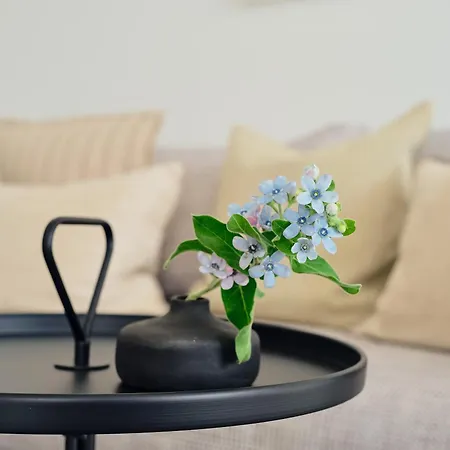 C13 Mit Balkon&nutzung Der Wellness-&aktivbereiche Im Pine Hill Apartment Zirchow